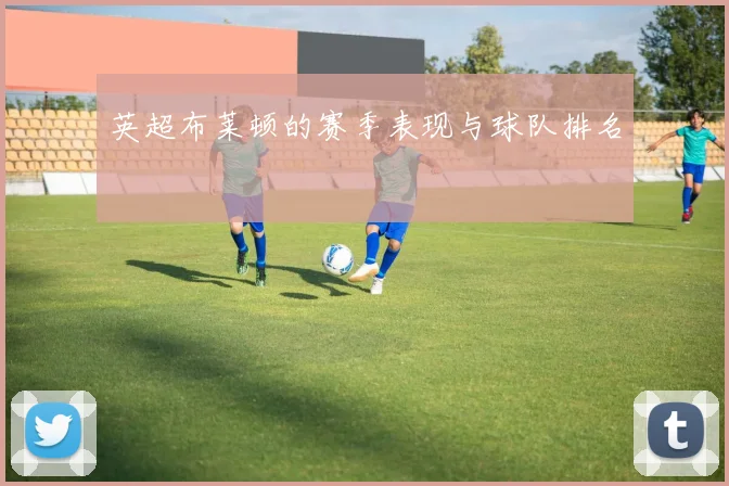 英超布莱顿的赛季表现与球队排名